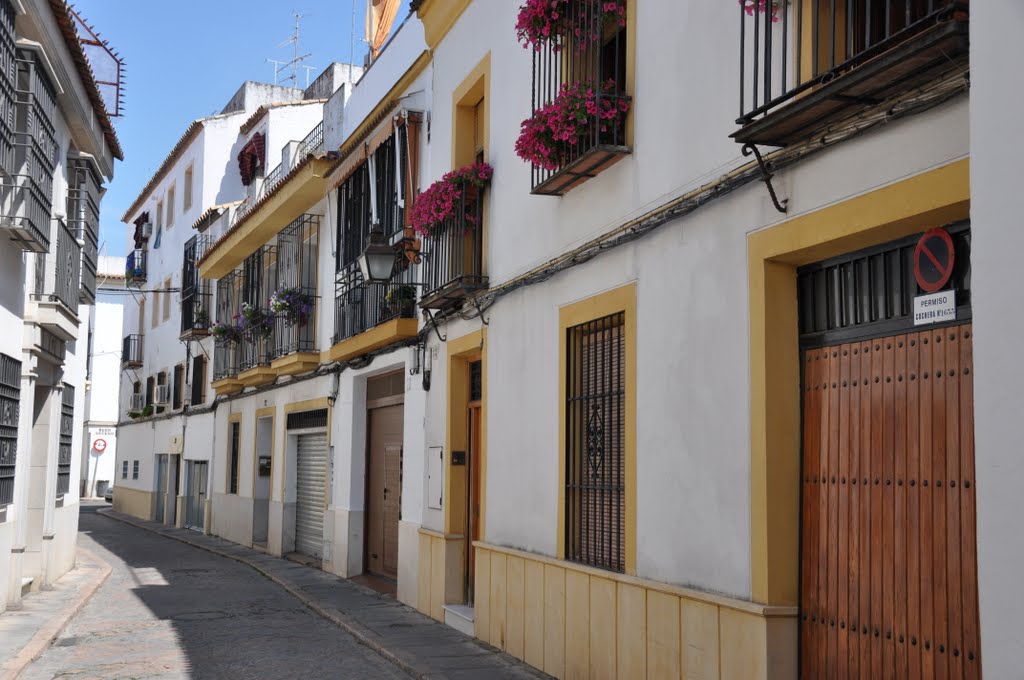 The Streets of Cordoba by Chris Blampied