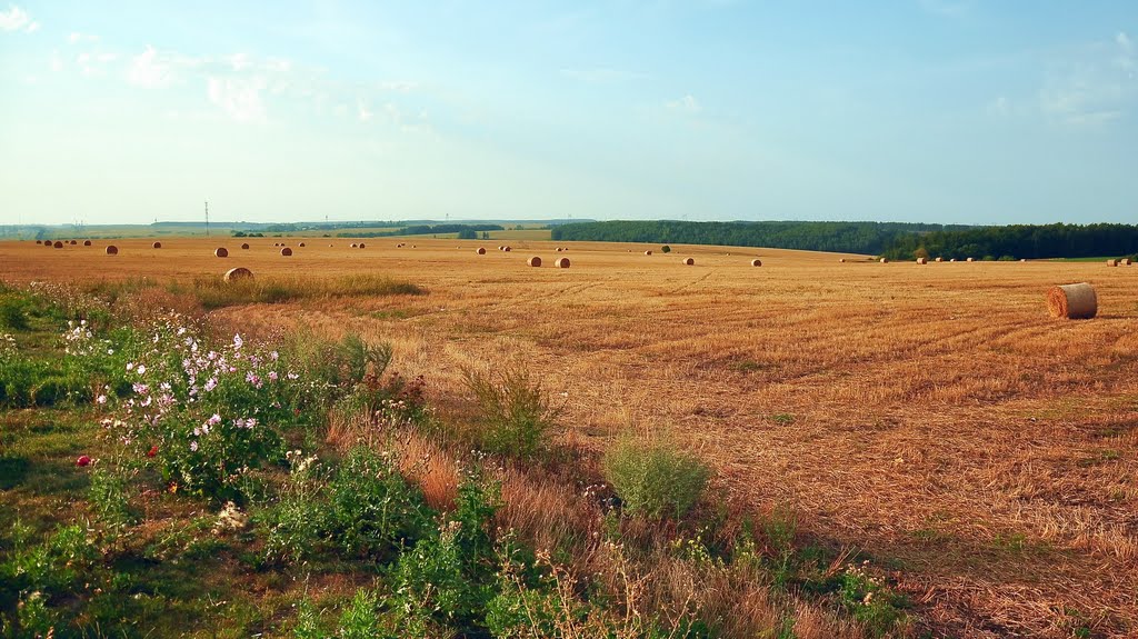 Novoderevenskiy r-n, Ryazanskaya oblast', Russia by Dim@Ar