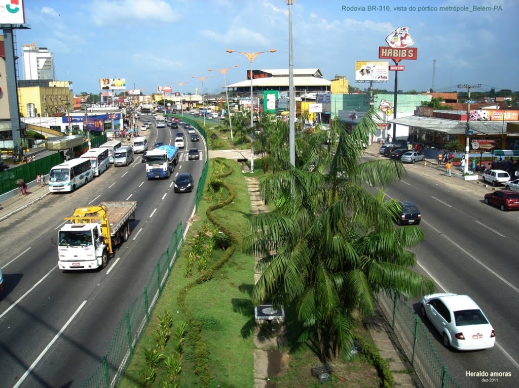 Rodovia BR-316_NE_Belém-Pará by Heraldo Amoras Amora…