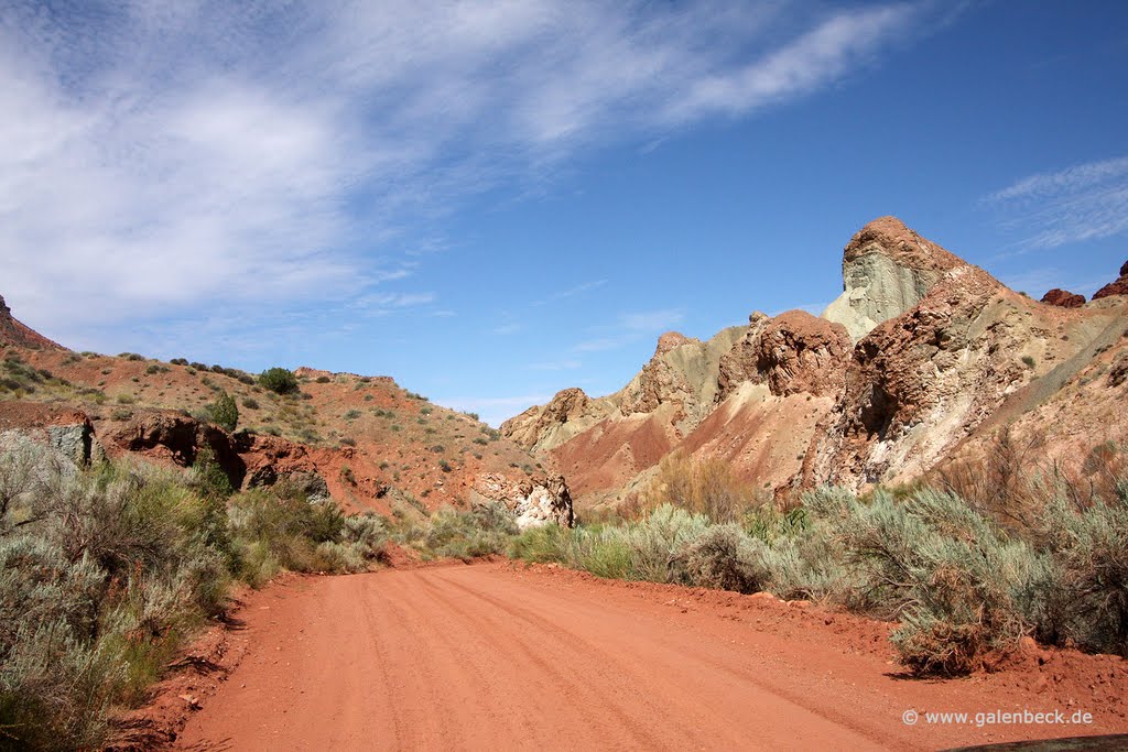 Onion Creek Road by Thomas Galenbeck