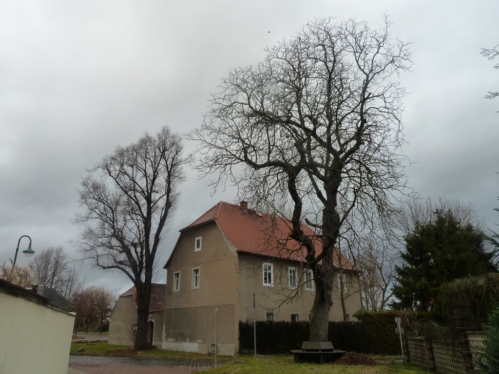 Schulstraße Angersdorf (Schlettau) by Martin Beitz