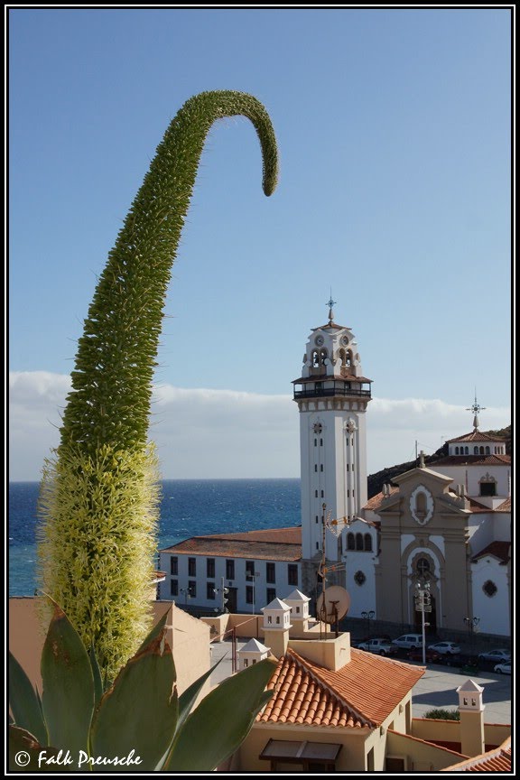 Basilica de Candelaria by Falk Preusche