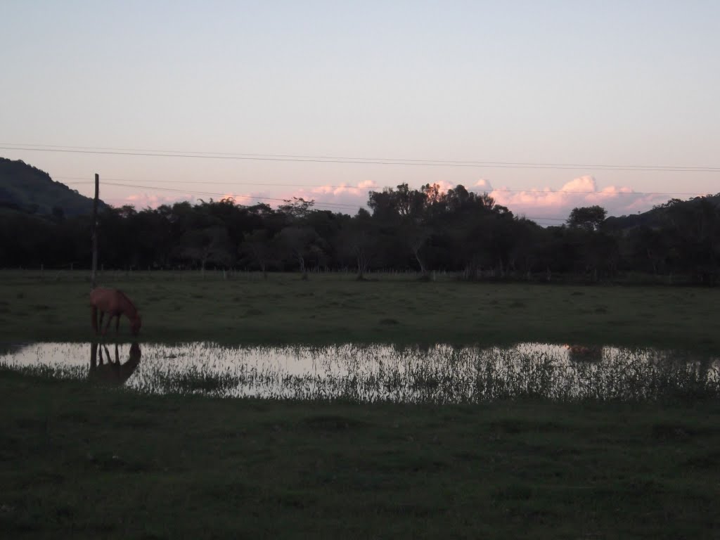 Pôr do sol e um cavalo! by Ednilson de Lima