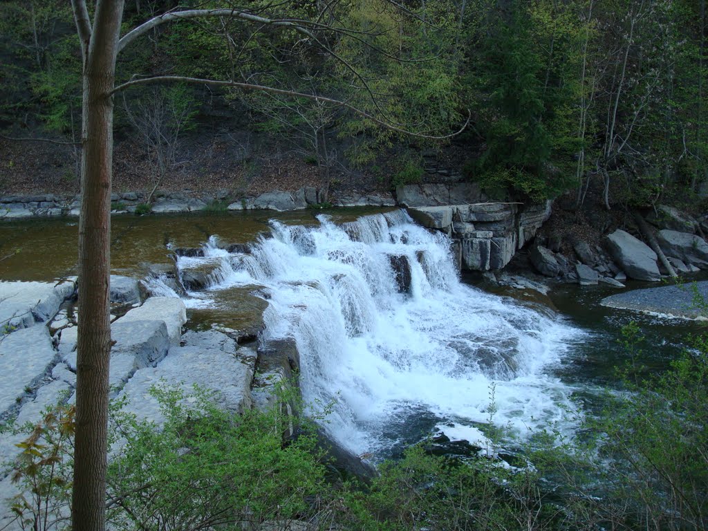 Lower Falls by Mark Bouton