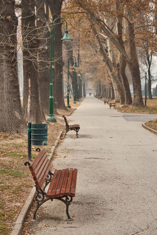 Skopje City Park by dardani.m