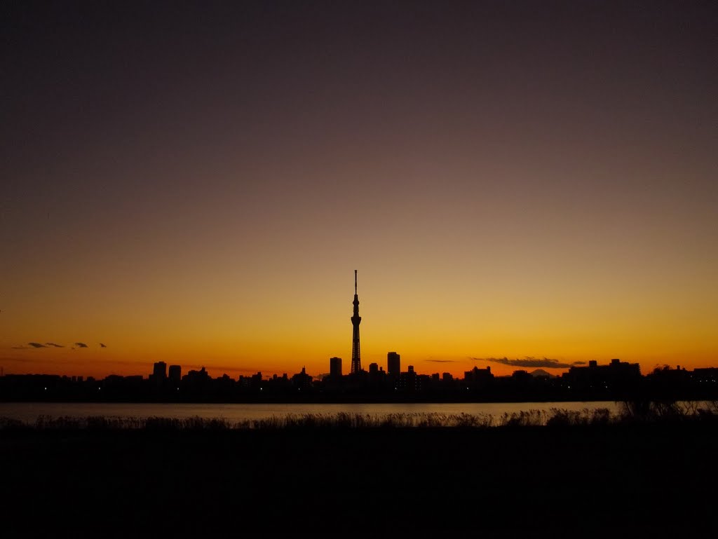 Mt. Fuji and Tokyo Sky Tree at sunset / 東京スカイツリー by Kangoo_