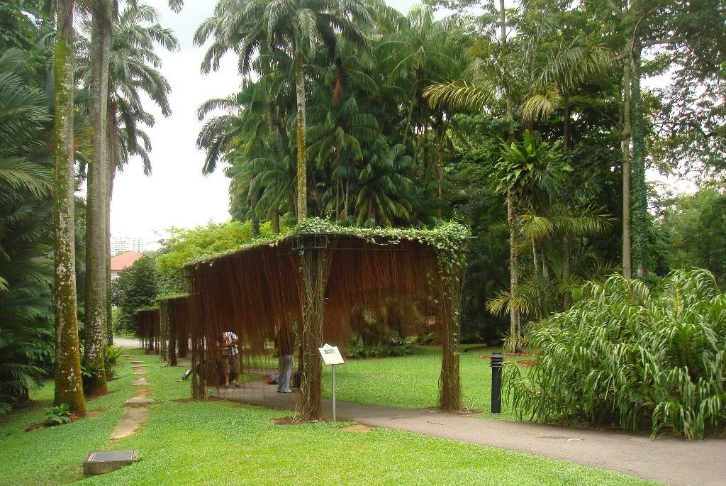 @ Botanic Park by Ahmad Syaharuddin