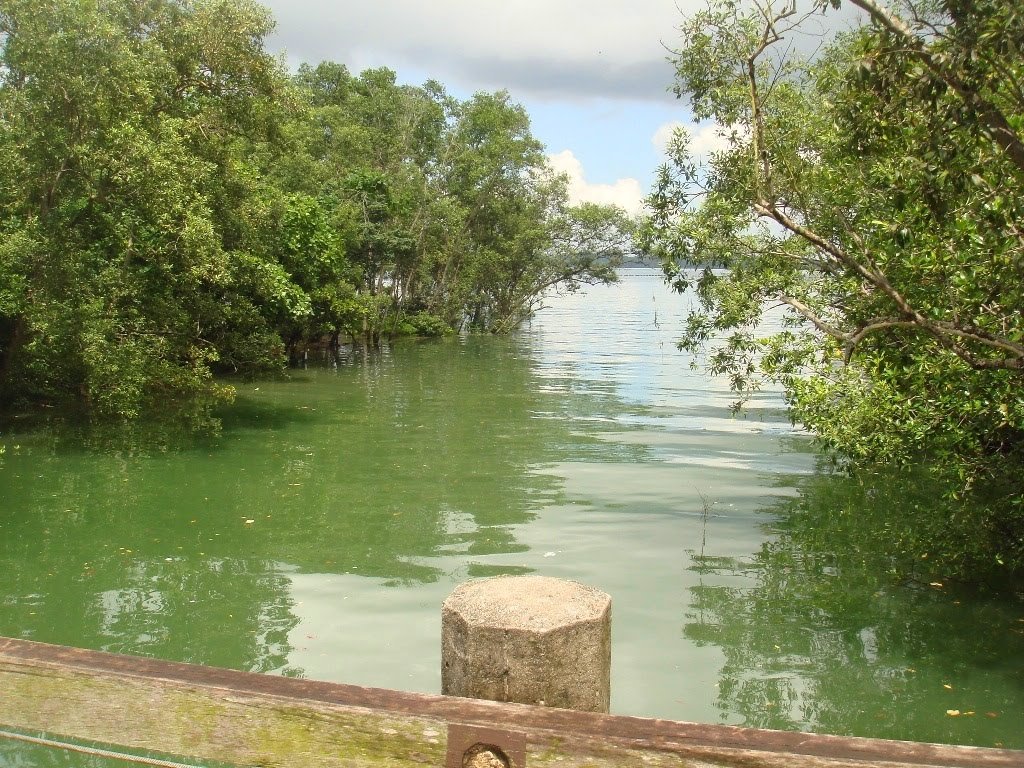 @ Pasir Ris Park by A Syaharuddin K