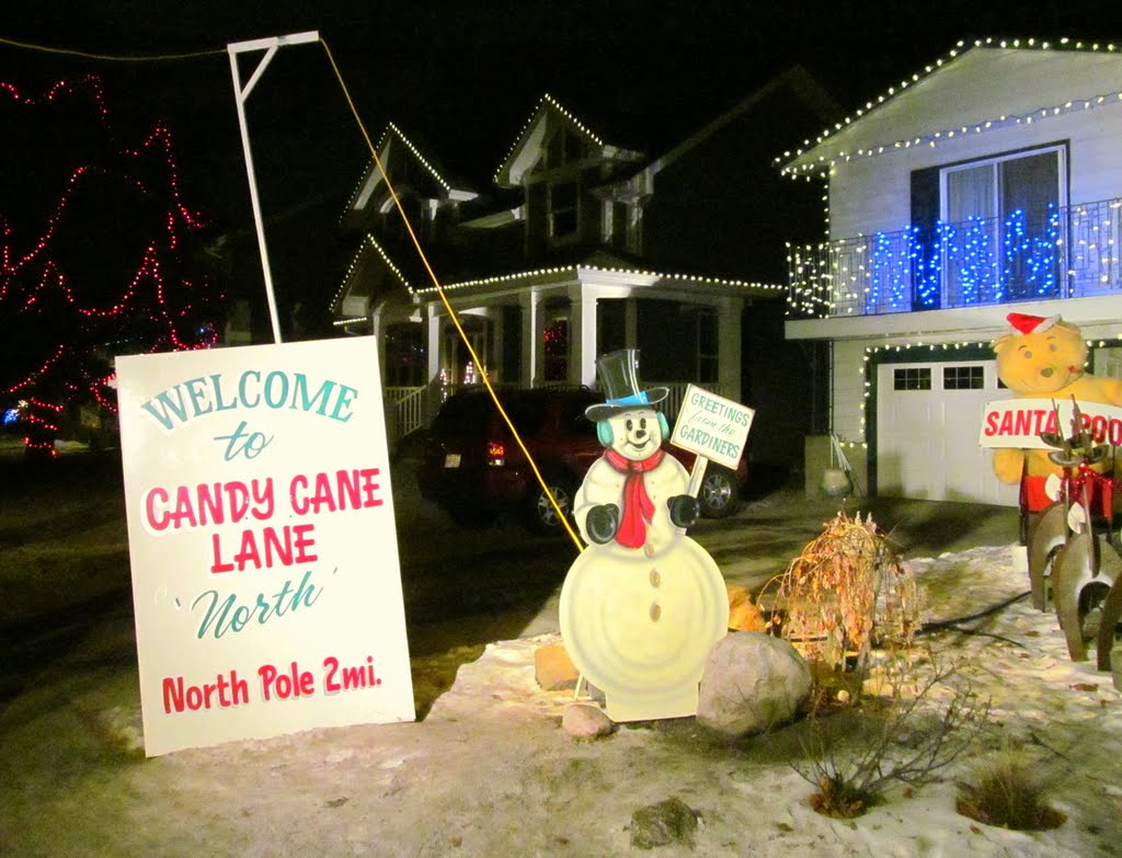 The Northern Gates To Candy Cane Lane In Edmonton Dec '11 by David Cure-Hryciuk