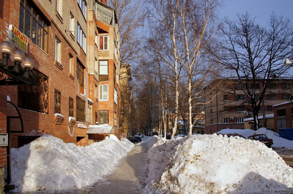 Russia Saint Petersburg by Paparazzi Stas