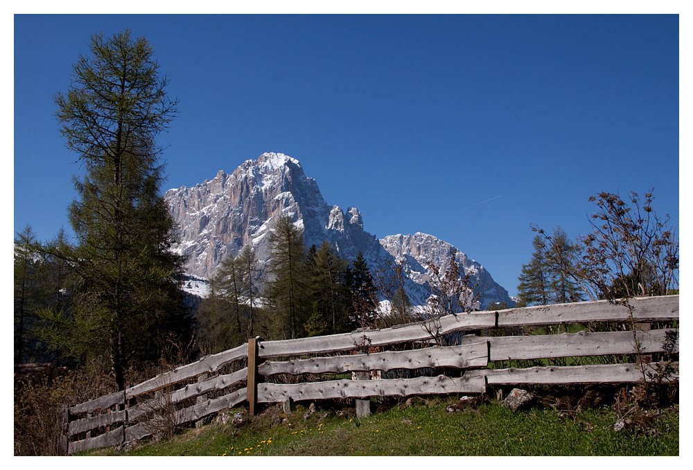 Blick zum Langkofel by waldo17