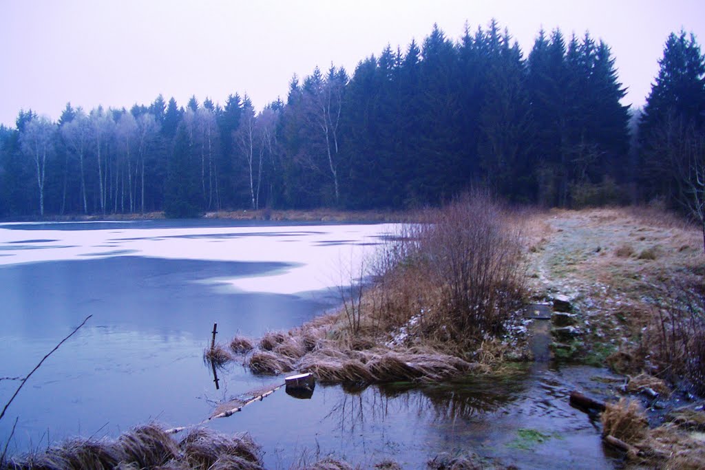 Peterstichel (Ochsensumpfteich) bei Thale by Thalenser