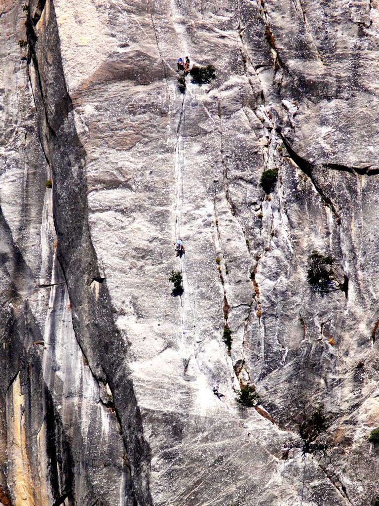 Climbers on el cap by randy koch