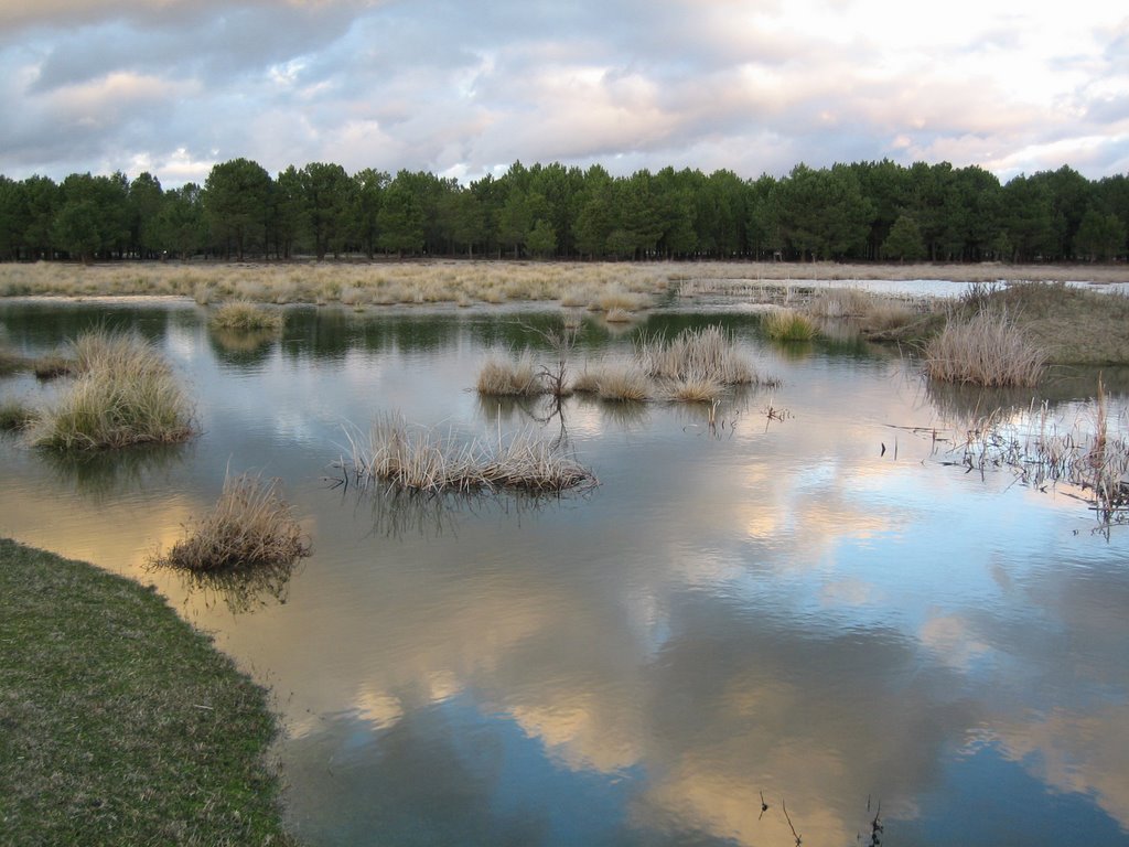 Cantalejo Laguna de Navalagrulla 1 by Mandorro