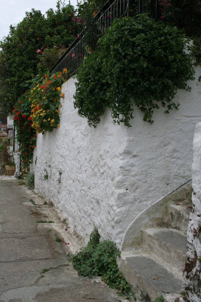 Bloemenpracht in Nafplio (Ernie) by Ernie van der Vaart