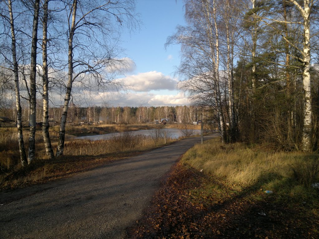 Noginsky District, Moscow Oblast, Russia by YouTube171