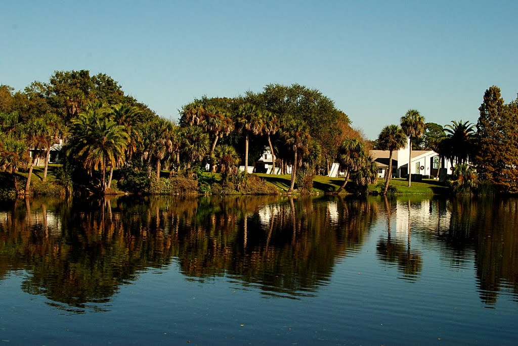 Park in New Port Richey by samfeltus