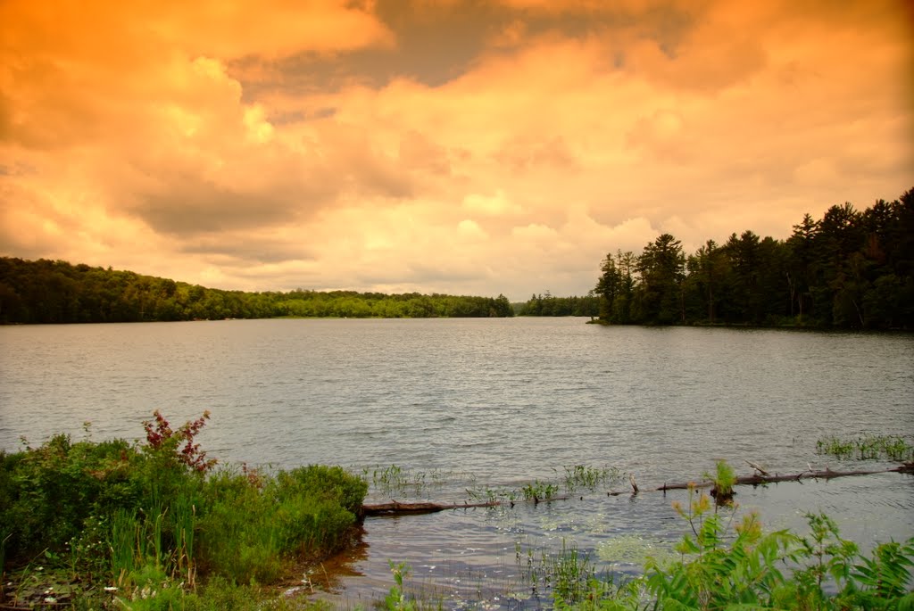 Whitefish Lake, Seguin, ON, Canada by ozkan n