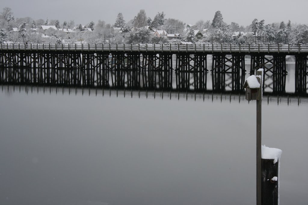 Selkirk Trestle after the snow by kdenny