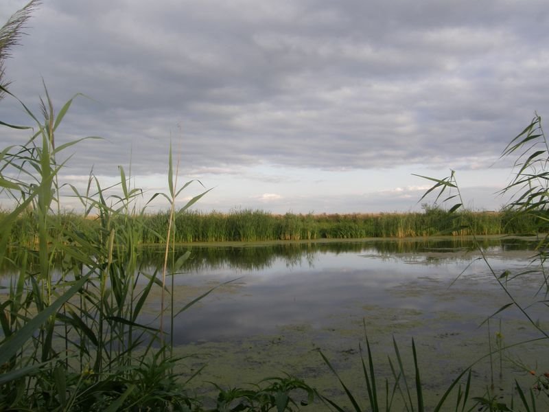 Lake by TorikKiev