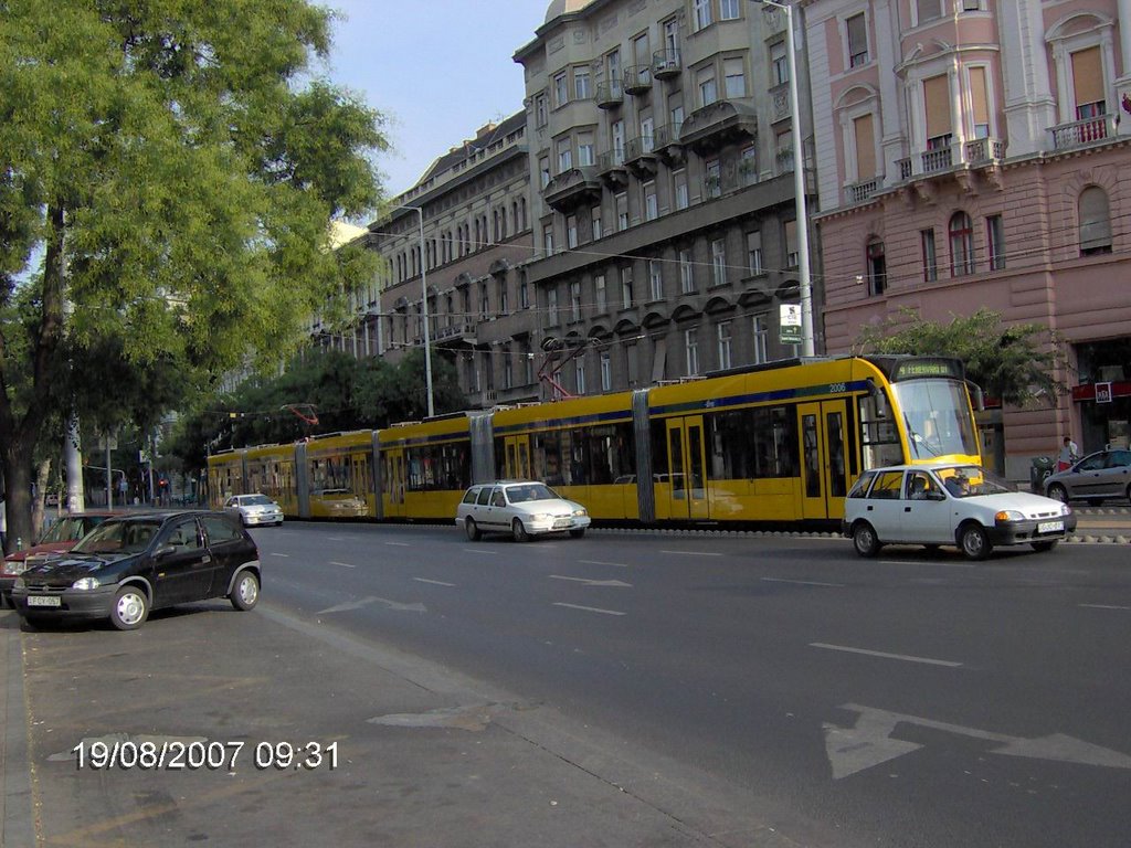 Long tram by dan dumitru ardelean