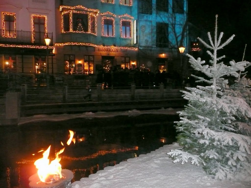 Magical Christima at Liseberg in Gotheborg,2011,Sweden. by DESPINA MOUSAFIRI