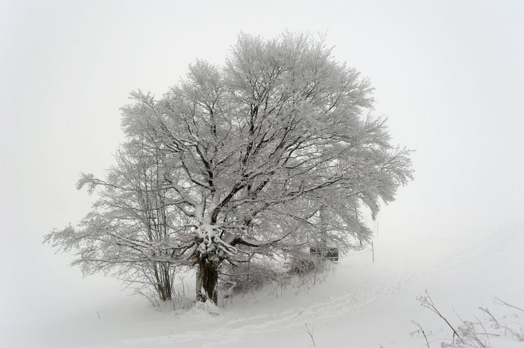 Winter am Schauinsland by K.U.