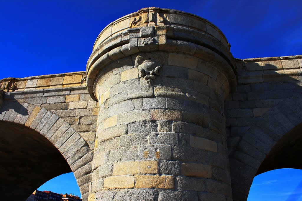 Puente de Toledo sobre el Manzanares Madrid by Vetëvendosje!