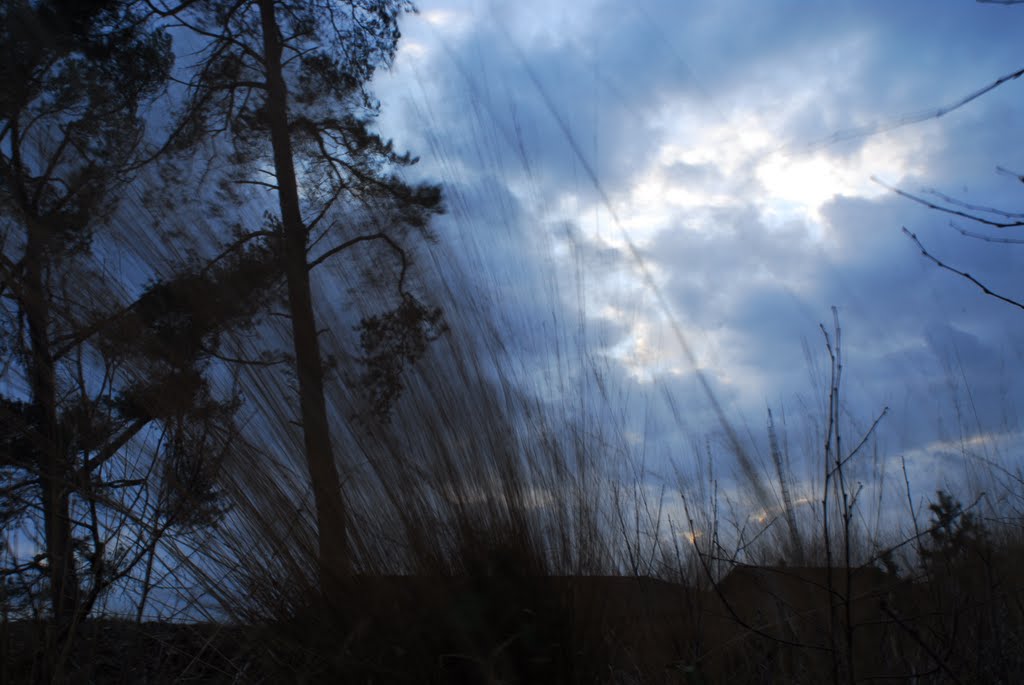 Windy day 2 by Jarg van Asch