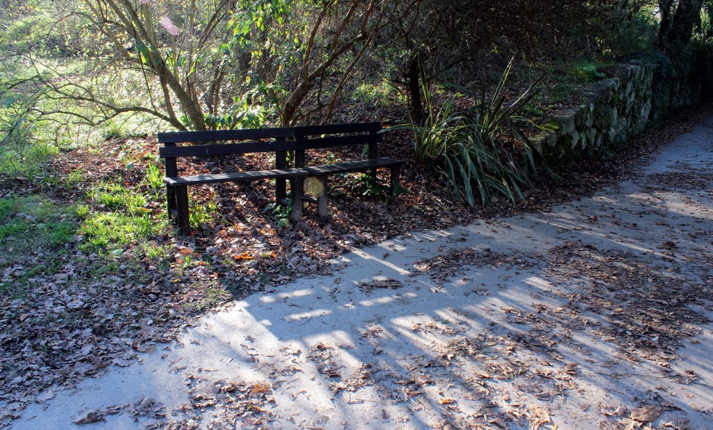 Parque da Lavandeira by José João Roseira