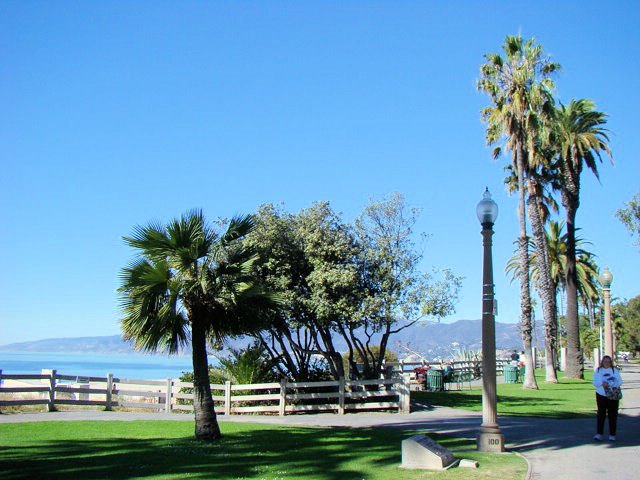 Santa Monica Ocean Drive by D. Jenison