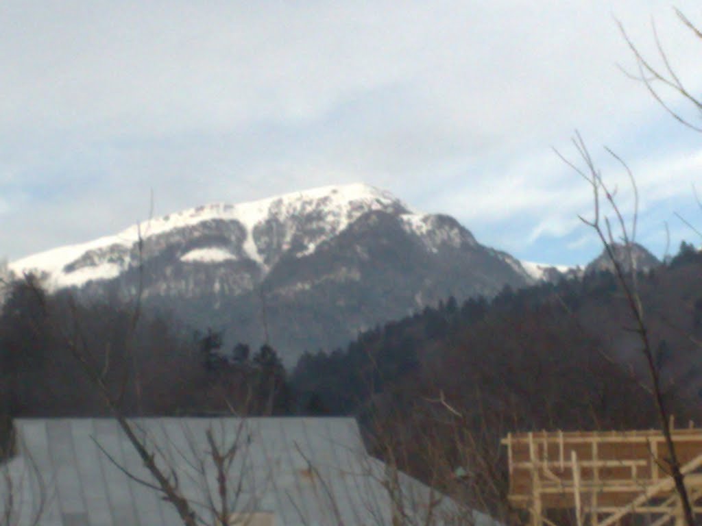 Sinaia 106100, Romania by Liviu Constantin