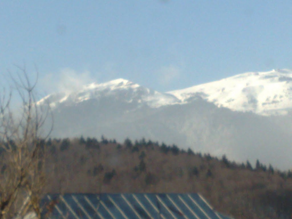 Sinaia 106100, Romania by Liviu Constantin