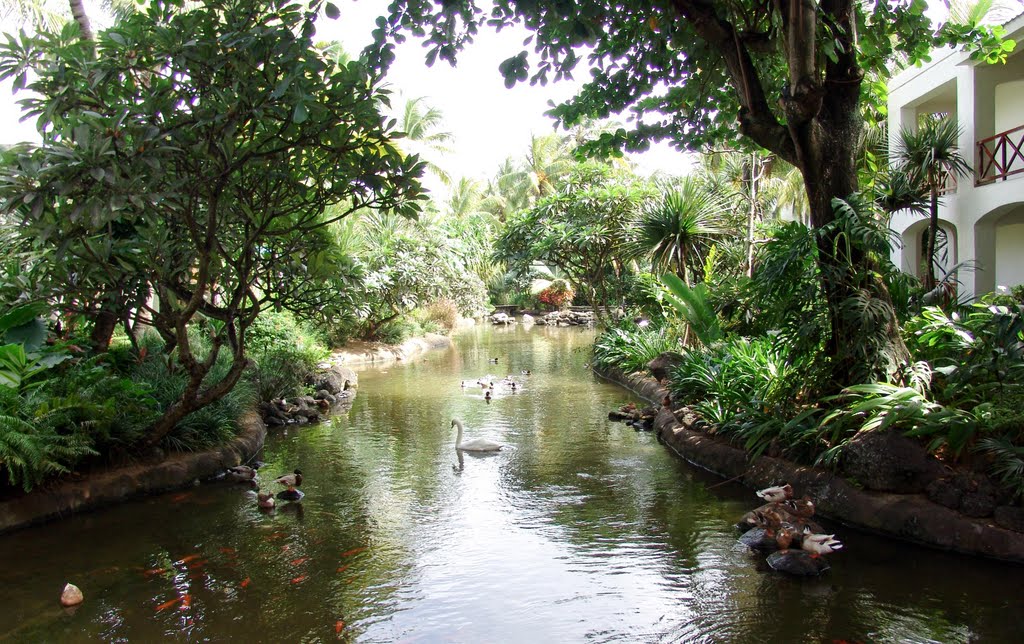 Water Area @ One&Only Le Saint Géran_Mauritius. ©PhilRHamar by Phil R Hamar