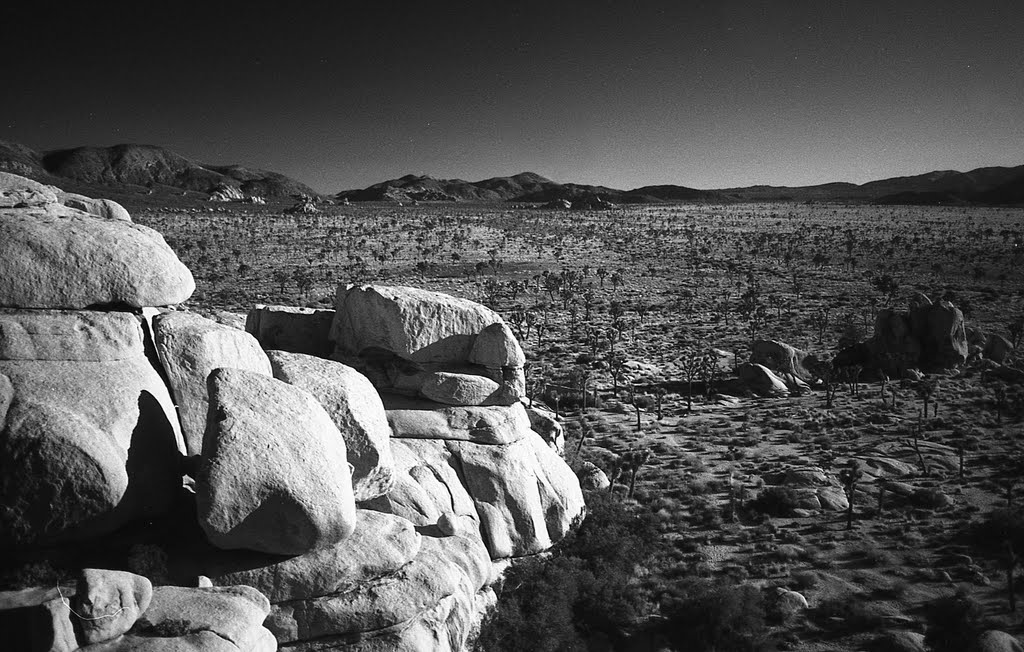 Joshua Tree National Park by Eric Klaszus