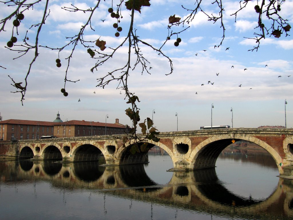 Toulouse. Pont Neuf by Vikiv