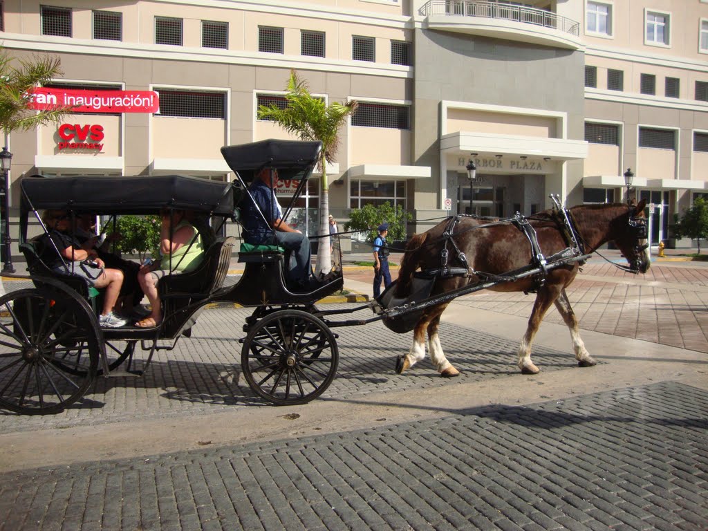 Horse Buggy, San Juan, P.R. by Harry Jones