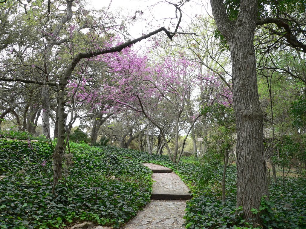 Barton Hills, Austin, TX, USA by Becky Robbins