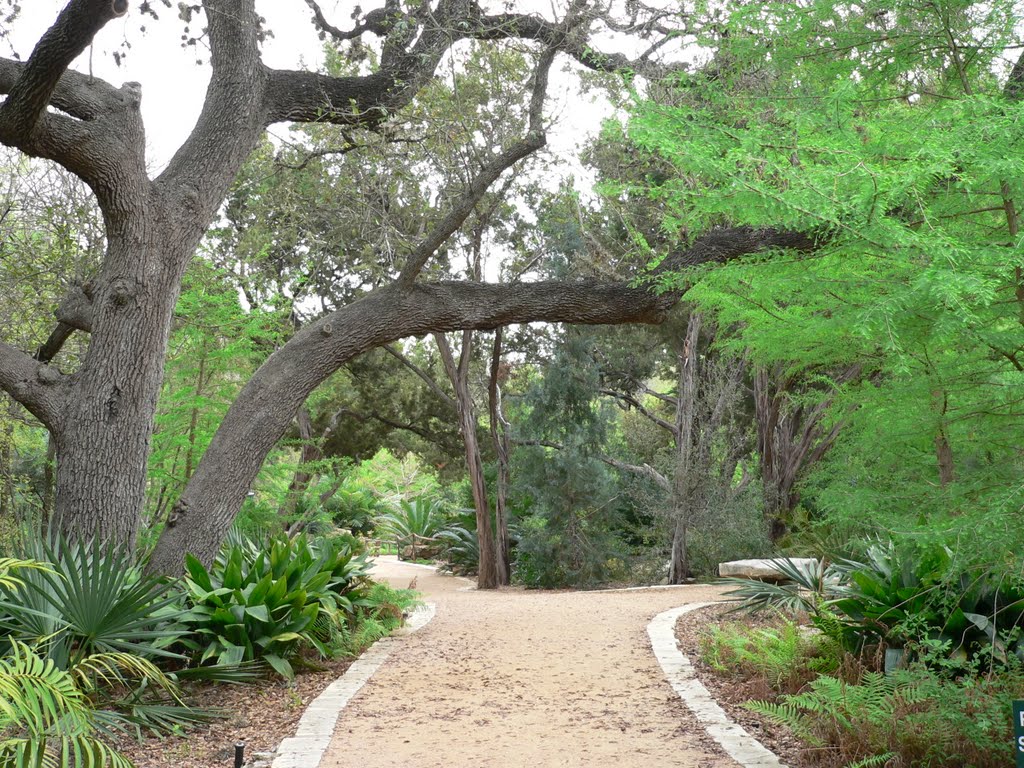 Barton Hills, Austin, TX, USA by Becky Robbins