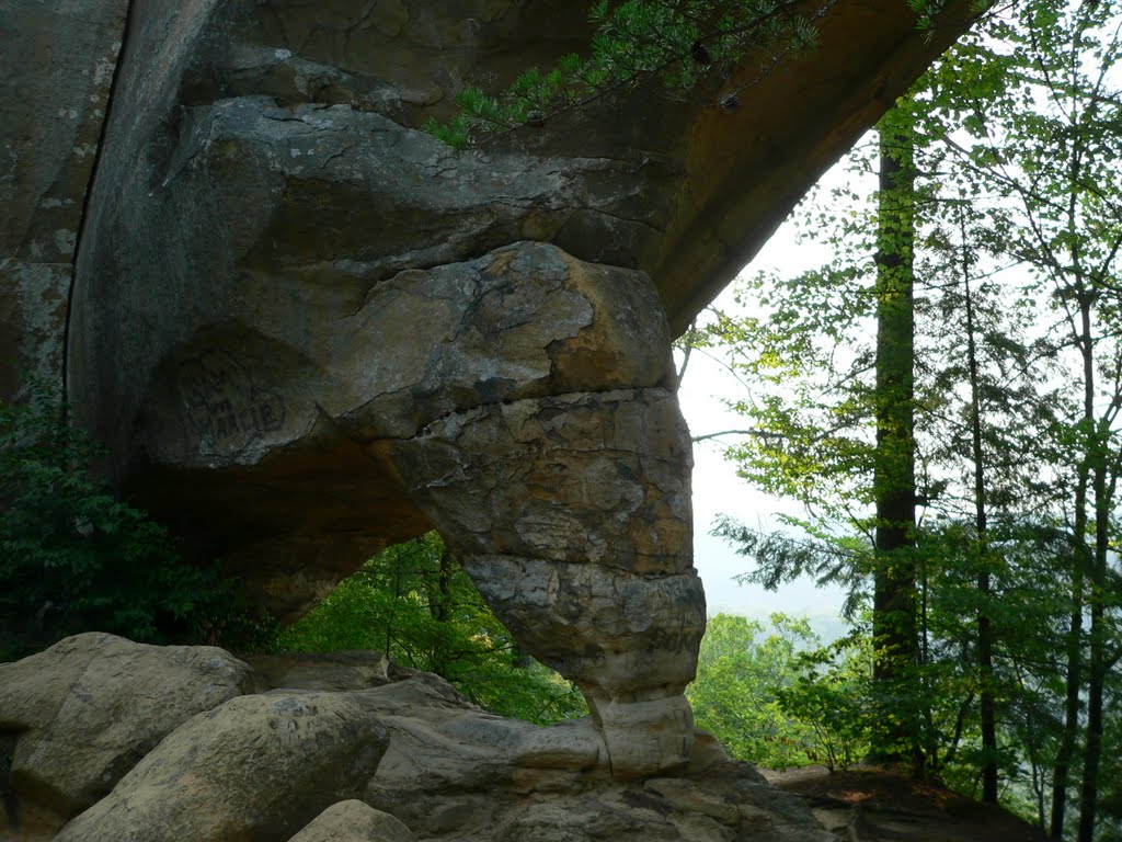 Powell County, KY, USA by Becky Robbins