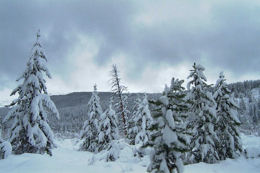 Silverthorne, CO, USA by Jess Tormanen