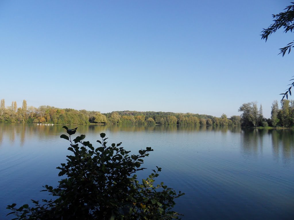 Etang de Dangu by Jean-Paul Cerny