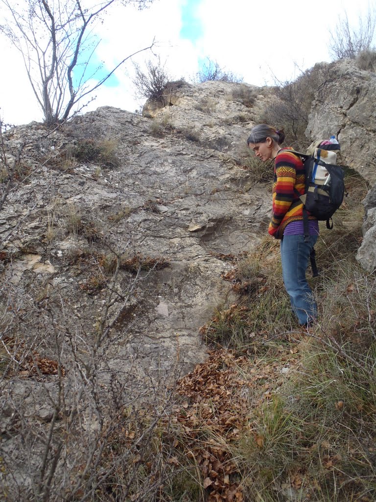 Icnitas de Galve by Asociación GeoAmbien…