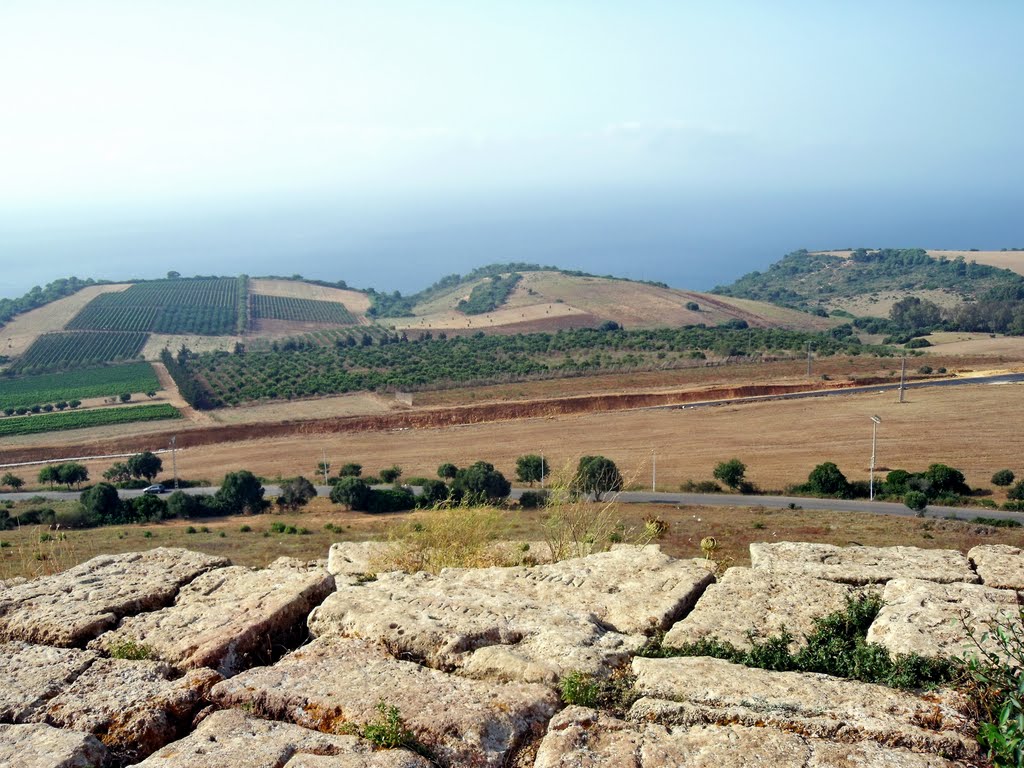 Sidi rached سيدي راشد by youcef misraoui