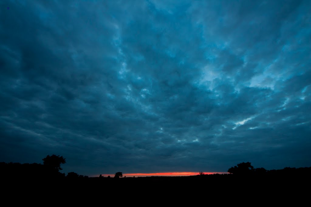 Sunset heath strabrechtse heide by a77ard