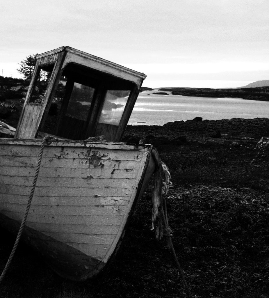 Boat, Galway by Shaun Kiernan