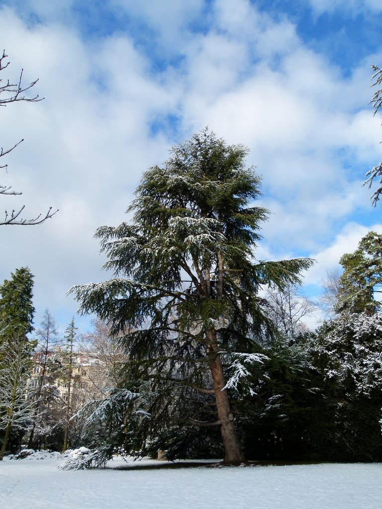 Parc Bertrand by Magda GHALI