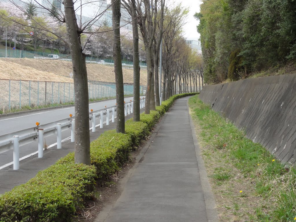 永山7丁目 尾根幹道 by maplefreak.tokyo