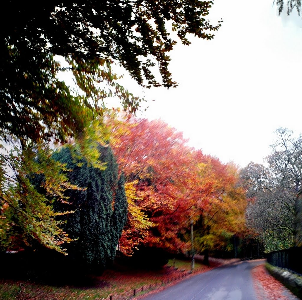 Calderglen.East Kilbride.(1659) by Portmoreloch