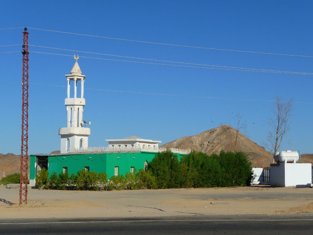 Moschee 11.2011 by lothar-w